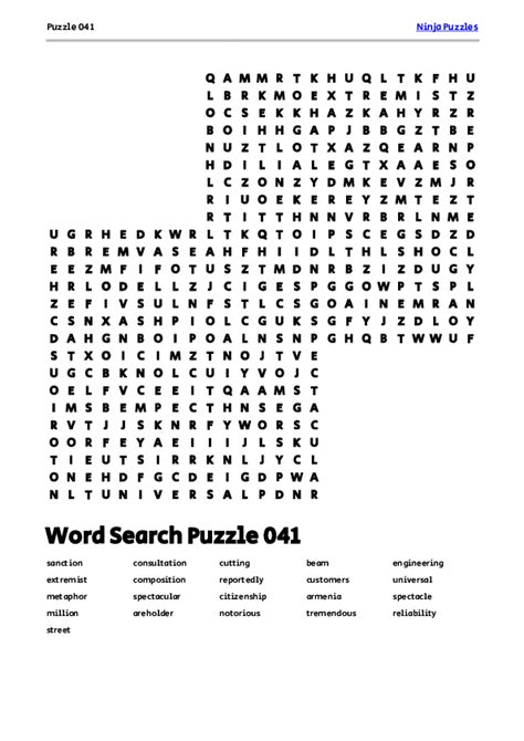 Puzzle 041 .